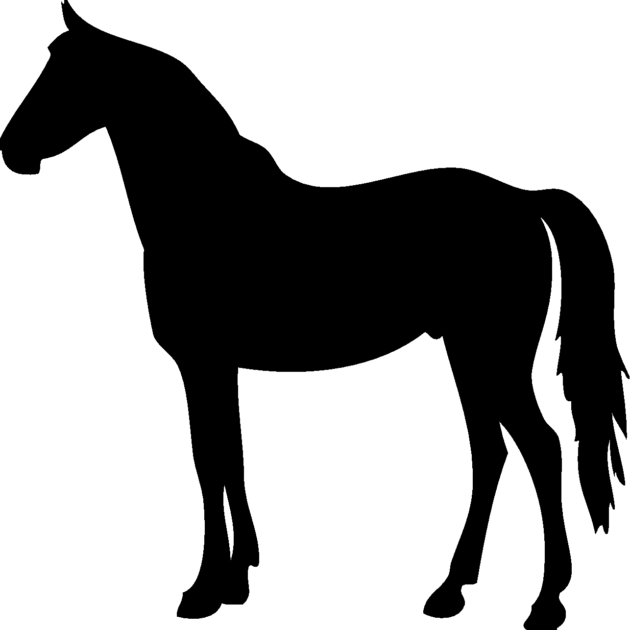 No photo available